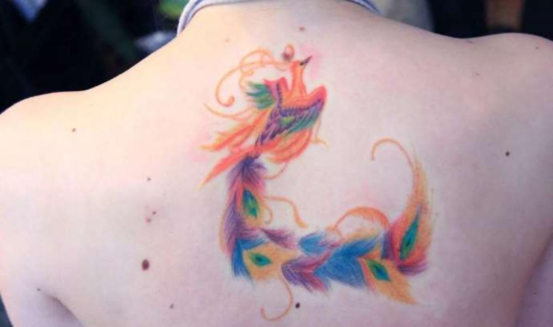 Ką reiškia ugnies paukščio tatuiruotė?