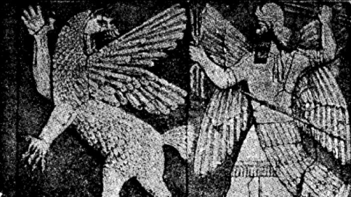 Mythes sur Benu Oiseau bennu mythique
